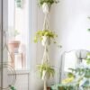 Homesake Set Of 2 Beige Macrame Plant Hangers Without Pot