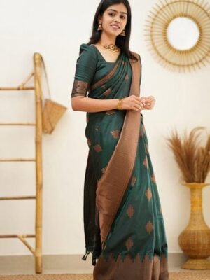 Premium Soft Silk Sarees for Women