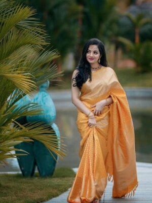 Premium Soft Silk Sarees for Women
