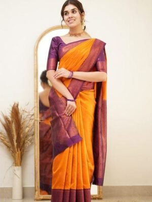 Premium Soft Silk Sarees for Women